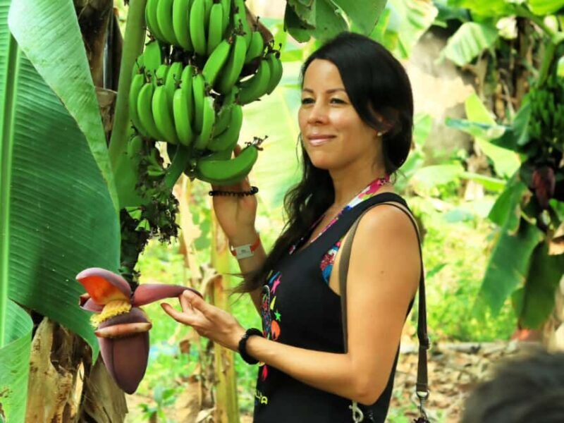 Puerto Vallarta: Hands-on Farm Experience from Cow to Cheese - Introduction