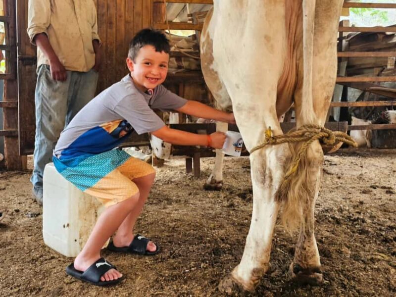 Puerto Vallarta: Hands-on Farm Experience from Cow to Cheese - Good To Know