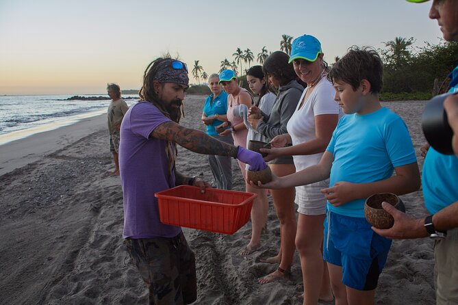 Puerto Vallarta: Help Release Baby Sea Turtles - Cancellation Policy and Weather Contingencies