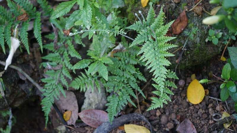 Puerto Vallarta: Hidden Beaches and Sea Adventures - Good To Know