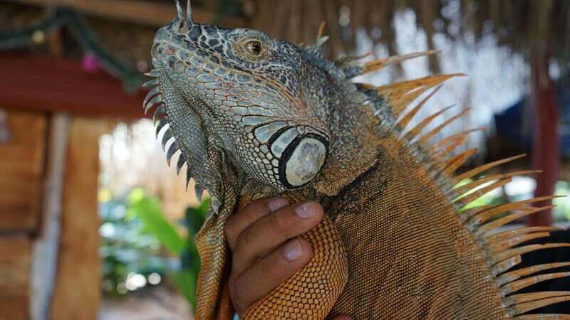 Puerto Vallarta: Hidden Beaches and Sea Adventures - The Experience Provider and Reviews