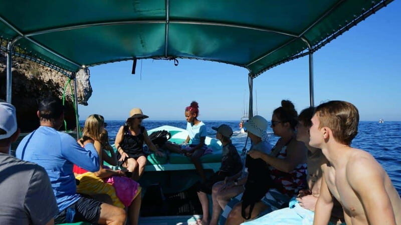 Puerto Vallarta: Hidden Beaches and Sea Adventures - Why Choose This Tour?