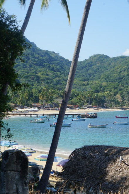 Puerto Vallarta: Hidden Beaches and Sea Adventures - Experience and Activities