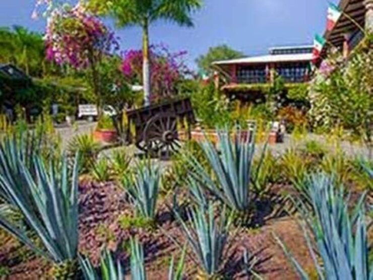 Puerto Vallarta: Hidden Mexico Tour - Itinerary Highlights