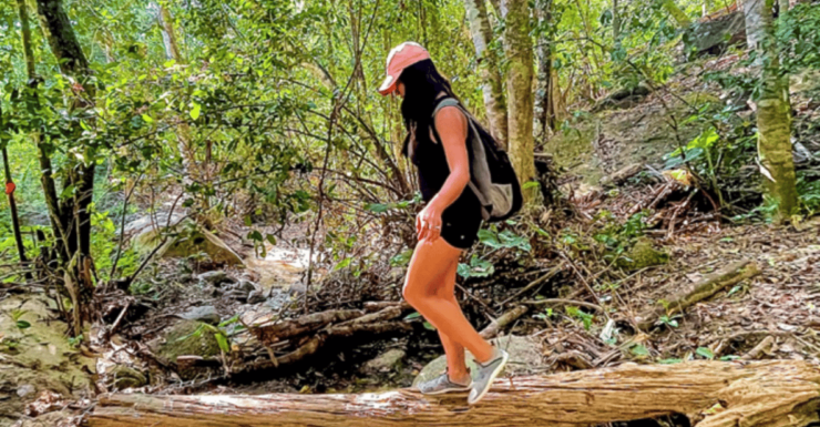Puerto Vallarta: Hiking and Entrance to the Botanical Garden - Itinerary