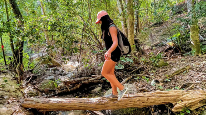 Puerto Vallarta: Hiking and Entrance to the Botanical Garden - Highlights and Experiences