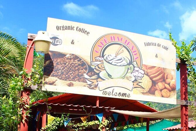 Puerto Vallarta History and Culture with Flavors Discovery - Final Thoughts: Is This Tour Worth It?