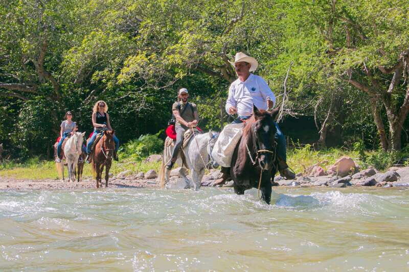 Puerto Vallarta: Horseback Ride to Mountain Waterfalls - The Experience’s Highlights and Why They Matter