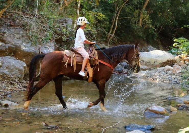 Puerto Vallarta: Horseback Riding Adventure at Canopy River - Highlights of the Excursion
