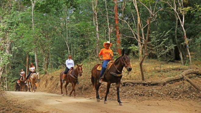 Puerto Vallarta: Horseback Riding Adventure at Canopy River - Meeting Point Locations
