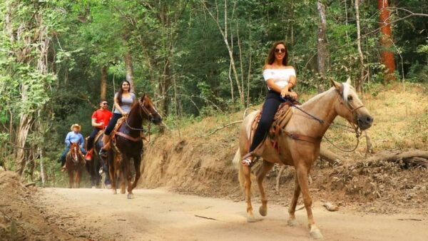 Puerto Vallarta: Horseback Riding Adventure at Canopy River - Frequently Asked Questions