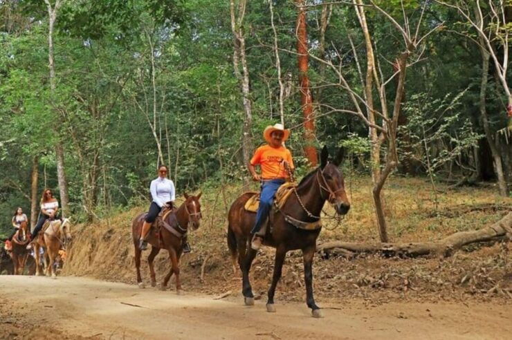 Puerto Vallarta: Horseback Riding Adventure - Good To Know