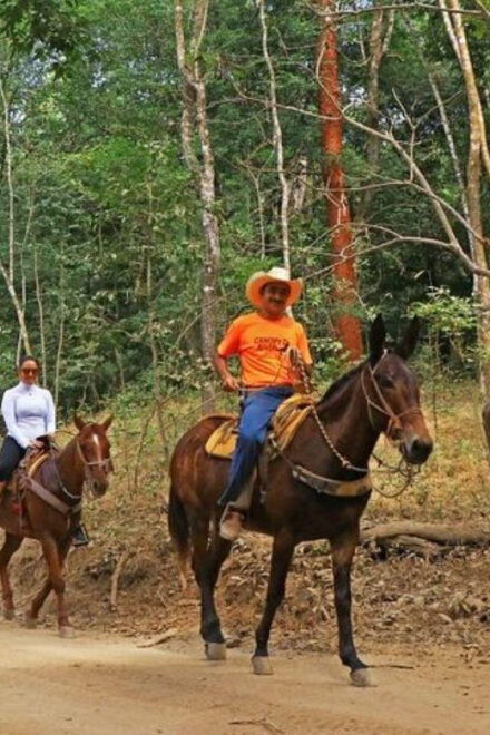 Puerto Vallarta: Horseback Riding Adventure - Booking and Availability