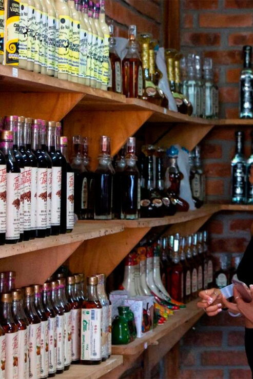 Puerto Vallarta: Horseback Riding and Tequila Tour - Good To Know