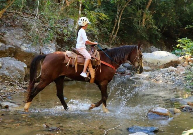 Puerto Vallarta: Horseback Riding and Tequila Tour - Crossing the Jorullo Bridge
