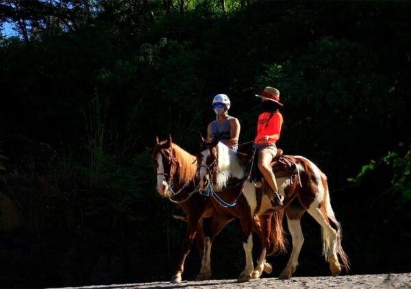 Puerto Vallarta: Horseback Riding and Tequila Tour - Refreshing Dip in the Pool