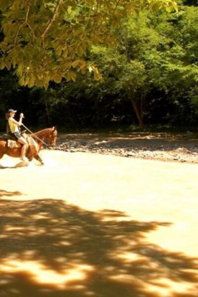 Puerto Vallarta: Horseback Riding at Hacienda Doña Engracia - Meeting Point and Availability