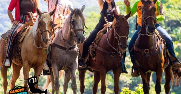 Puerto Vallarta: Horseback Riding + Jorullo Bridge Pass - River Trail