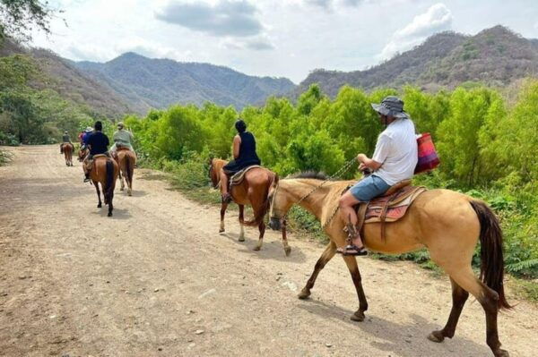 Puerto Vallarta: Horseback Riding, Lunch & Unlimited Drinks - Included and Optional Activities
