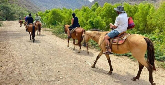 Puerto Vallarta: Horseback Riding, Tequila Tasting, Mex BBQ - Tequila Tasting Details