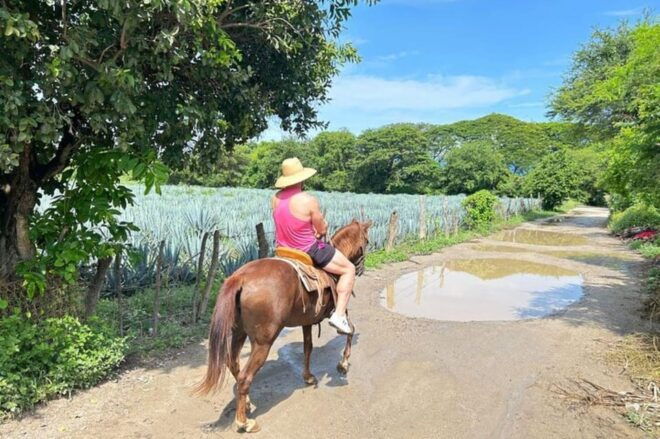 Puerto Vallarta: Horseback Riding, Tequila Tasting, Mex BBQ - Authentic Mexican Cuisine