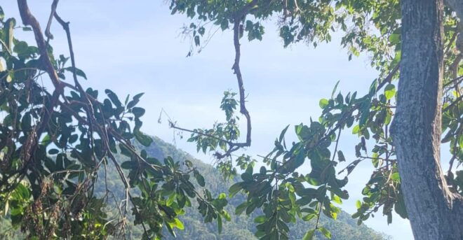 Puerto Vallarta: Jungle and Coastline Hike Along 6 Beaches - Included in the Tour