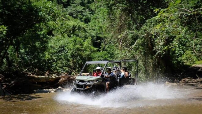 Puerto Vallarta: Jungle Side by Side Adventure - Adventure Details