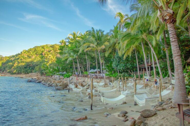 Puerto Vallarta: Las Caletas Beach Hideaway Experience - Booking Information