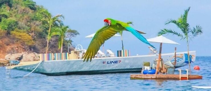 Puerto Vallarta: Las Caletas Beach Hideaway - Water Activities and Experiences