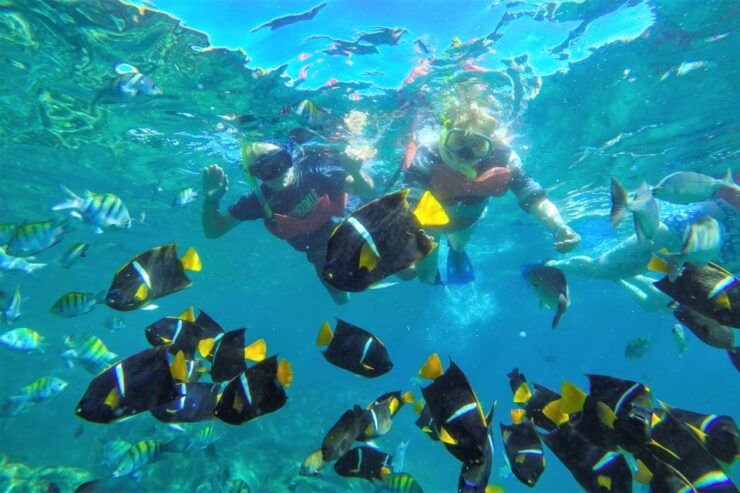 Puerto Vallarta: Las Caletas Beach Hideway Day Trip - Activity Highlights