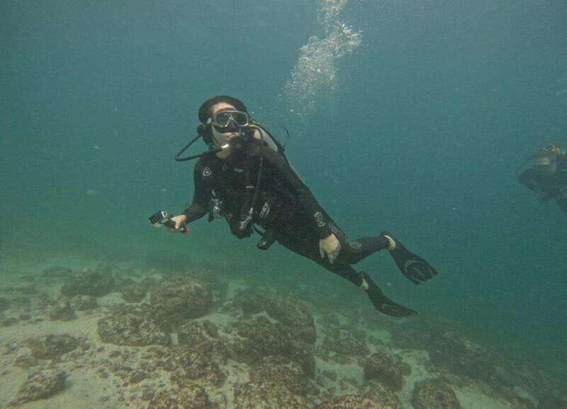 Puerto Vallarta: Los Arcos de Mismaloya, diving for beginners. - Final thoughts