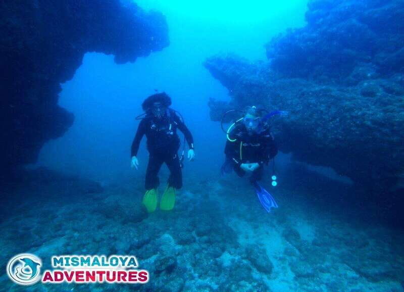 Puerto Vallarta: Los Arcos de Mismaloya, diving for beginners. - Who is this experience best for?