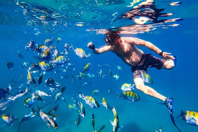 Puerto Vallarta Luxury Yacht and Snorkel Tour - Snorkeling Experience