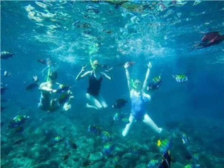 Puerto Vallarta: Luxury Yacht & Snorkel Tour - Experience Highlights