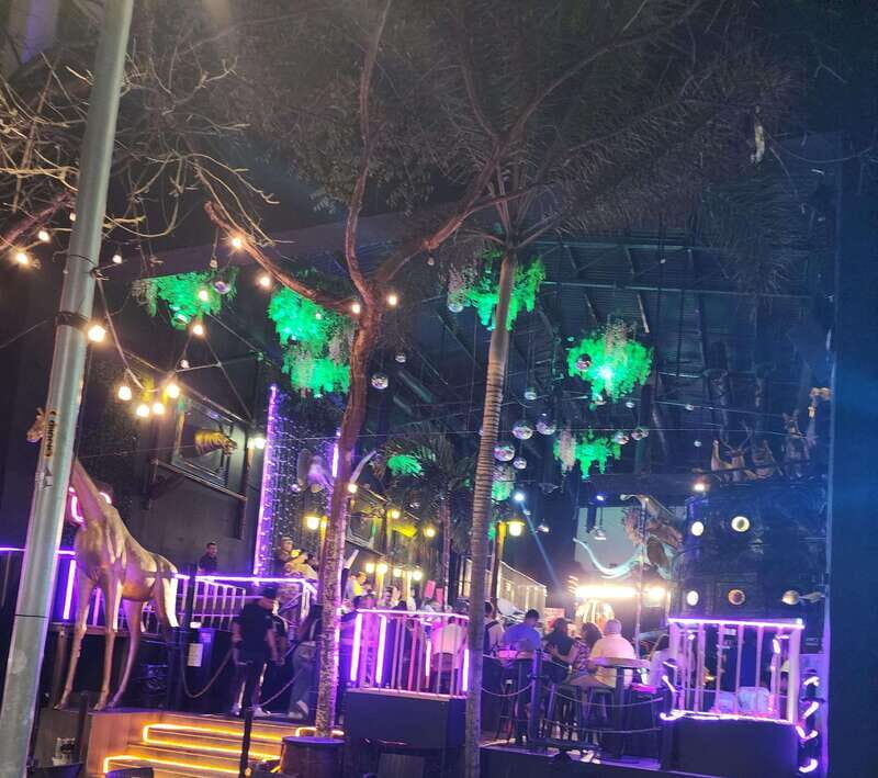 Puerto Vallarta: Malecon and Romantic Zone Nightlife Tour - Practical Details: What to Know Before You Go