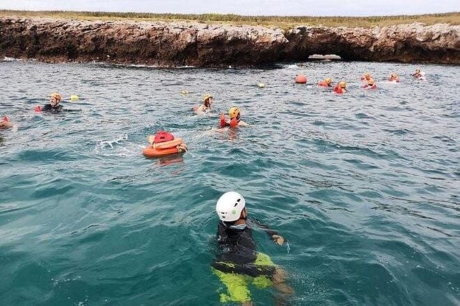 Puerto Vallarta: Marietas Islands Snorkel and Hidden Beach - Wildlife Viewing