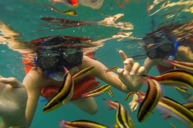 Puerto Vallarta: Marietas Islands Snorkel Cruise With Drinks - Customer Feedback