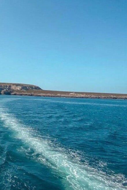 Puerto Vallarta: Marietas Islands Snorkel Cruise With Drinks - Inclusions