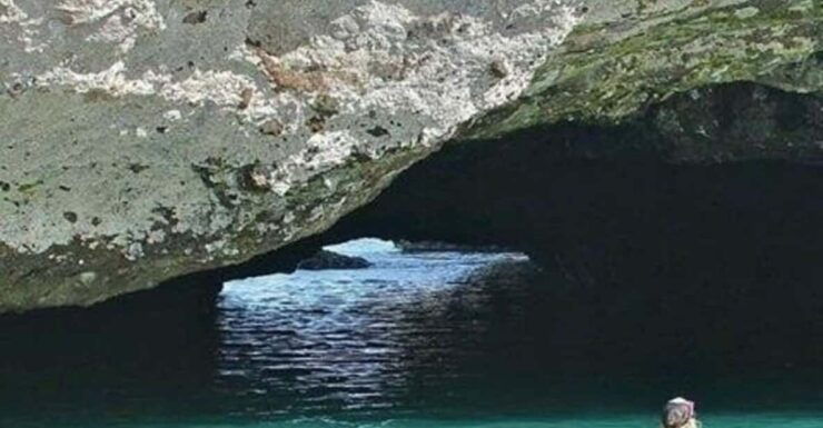 Puerto Vallarta: Marietas Islands Tour on Catamaran - Inclusions