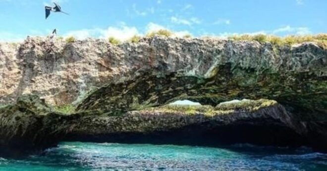 Puerto Vallarta: Marietas Islands Tour on Catamaran - Marine Ecosystems and Coral Reefs