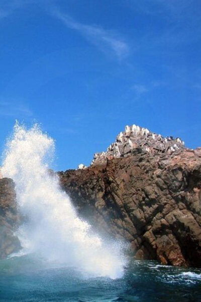 Puerto Vallarta: Marietas Islands Tour - Frequently Asked Questions