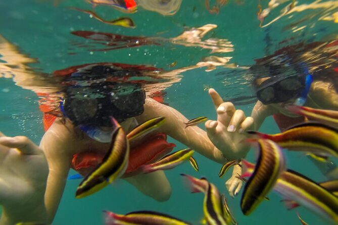 Puerto Vallarta: Marietas Islands with Open Bar and Food - Final Thoughts