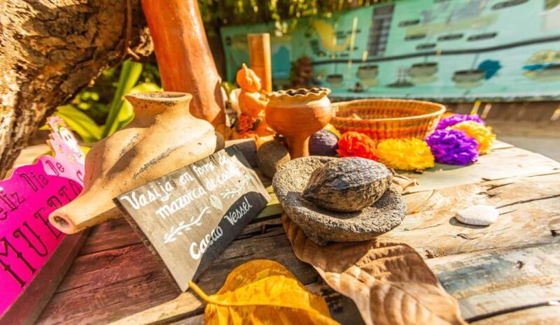 Puerto Vallarta: Mexican Cooking Class, Pueblos, & Food Tour - Puerto Vallarta: Mexican Cooking Class, Pueblos, & Food Tour — A Deep Dive into Culinary Traditions