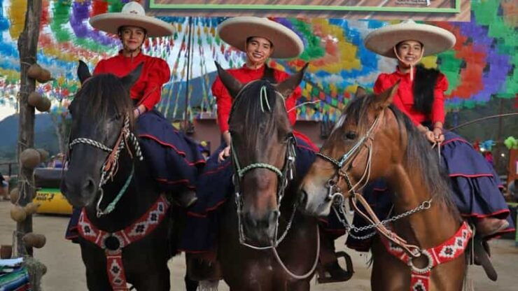 Puerto Vallarta: Mexican Fiesta Night in the Mountains - Good To Know