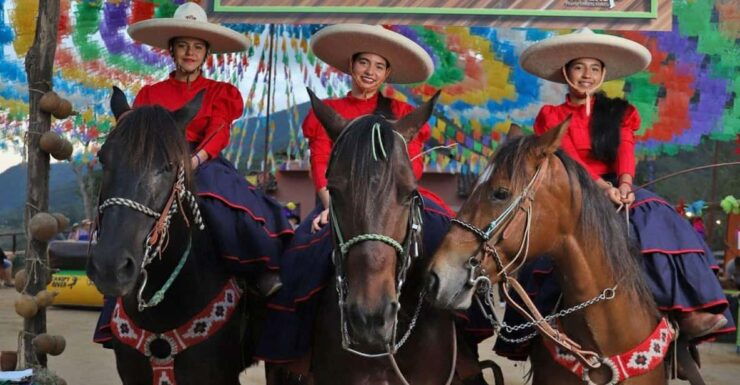 Puerto Vallarta: Mexican Fiesta Night in the Mountains - Pricing and Duration Details