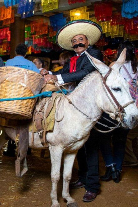 Puerto Vallarta: Mexican Fiesta Night in the Mountains - Participant Selection and Availability
