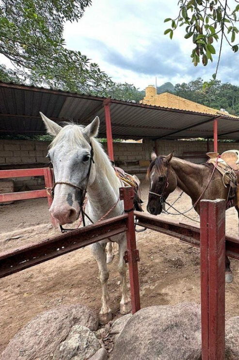 Puerto Vallarta: Mountain Waterfall Horseback Riding Tour - Good To Know