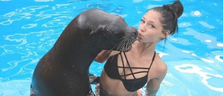 Puerto Vallarta: Ocean Mania - Good To Know