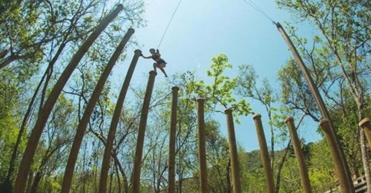 Puerto Vallarta: Ocean Mania - Experience Highlights
