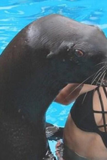 Puerto Vallarta: Ocean Mania - Included Amenities